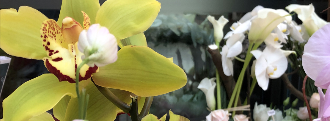 Florist Qatar