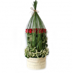 Roses, still grass