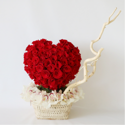 Red rose, moss, salex, cymbidium