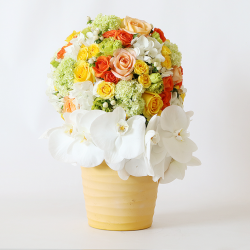 Pot with Hypericum, rose, spray rose, snowball, hydrangea, eustoma & phalaenopsis.